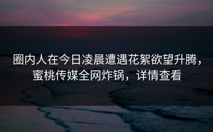 圈内人在今日凌晨遭遇花絮欲望升腾,蜜桃传媒全网炸锅,详情查看 圈内人在今日凌晨遭遇花絮欲望升腾,蜜桃传媒全网炸锅,详情查看