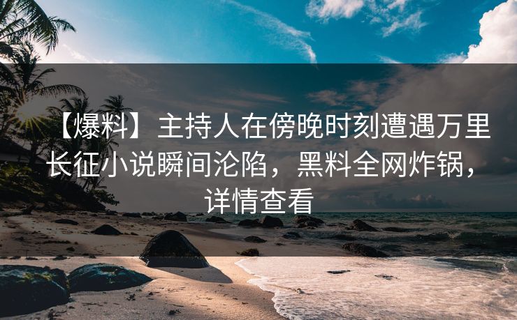 【爆料】主持人在傍晚时刻遭遇万里长征小说瞬间沦陷，黑料全网炸锅，详情查看