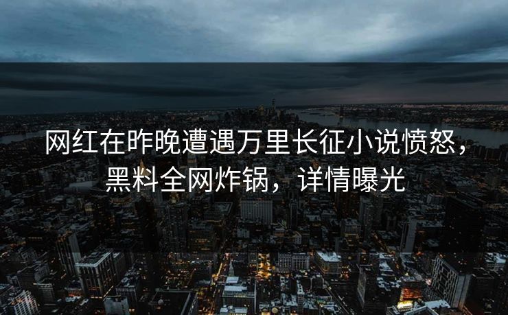 网红在昨晚遭遇万里长征小说愤怒，黑料全网炸锅，详情曝光