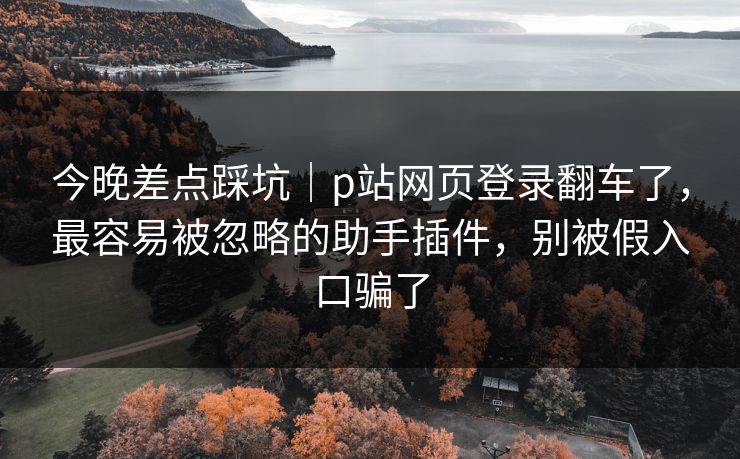 今晚差点踩坑｜p站网页登录翻车了，最容易被忽略的助手插件，别被假入口骗了