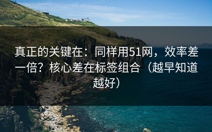 真正的关键在：同样用51网，效率差一倍？核心差在标签组合（越早知道越好）